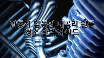 안동시 임동면 대곡리 원룸 청소 완벽 가이드