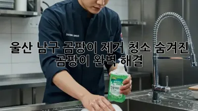 울산 남구 곰팡이 제거 청소, ✨숨겨진 곰팡이 완벽 해결!✨